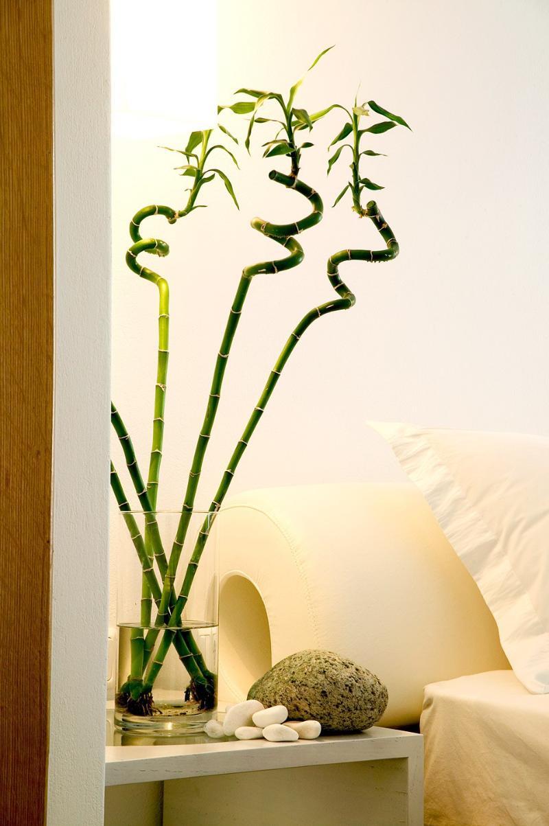 Petasos Beach Resort & Spa - Small Luxury Hotels Of The World Platys Gialos  Luaran gambar